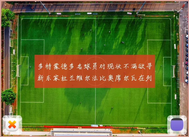 多特蒙德多名球员对现状不满欲寻新东家杜兰维尔法比奥席尔瓦在列