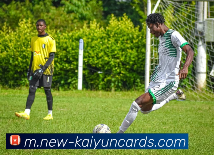 App Interface Preview