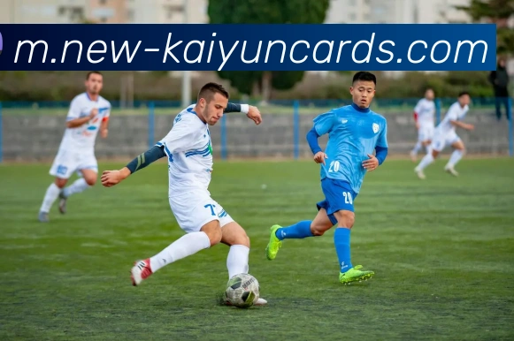 开云棋牌官网APP 封面图